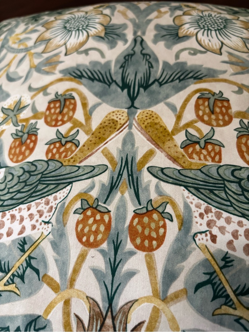 Morris & Co. Strawberry Thief Pillowcase Decorative Fabric Pillow Cover set of 2